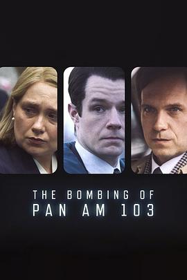 色鸡导航《泛美航空103航班爆炸案 The Bombing of Pan Am 103》免费在线观看