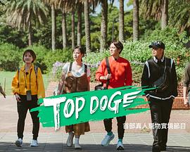 色诱视频《TOP DOG》免费在线观看
